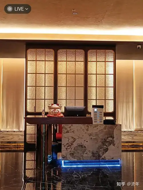 深圳新茶嫩茶工作室茶叶礼盒产品